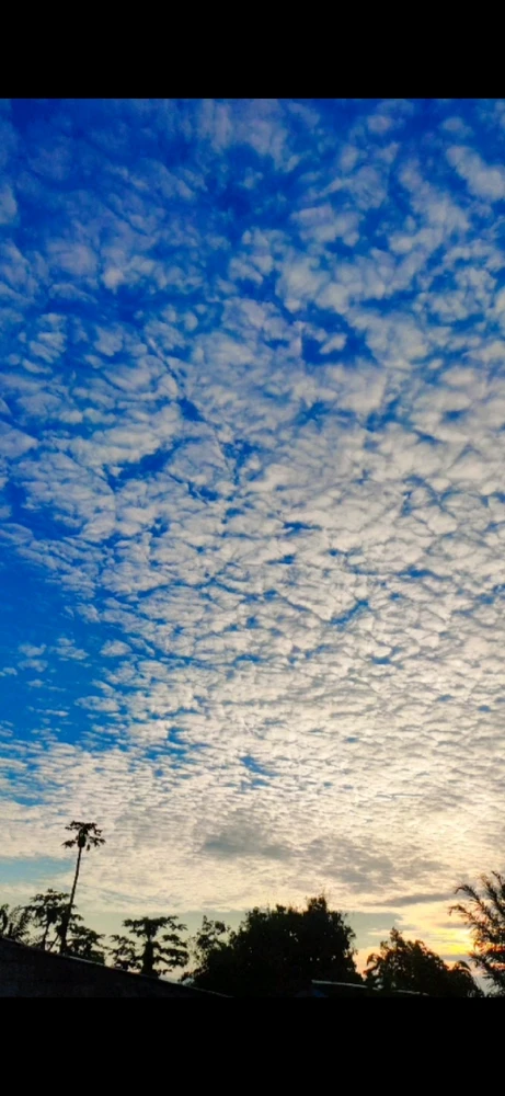 GIF diunggah oleh Monica