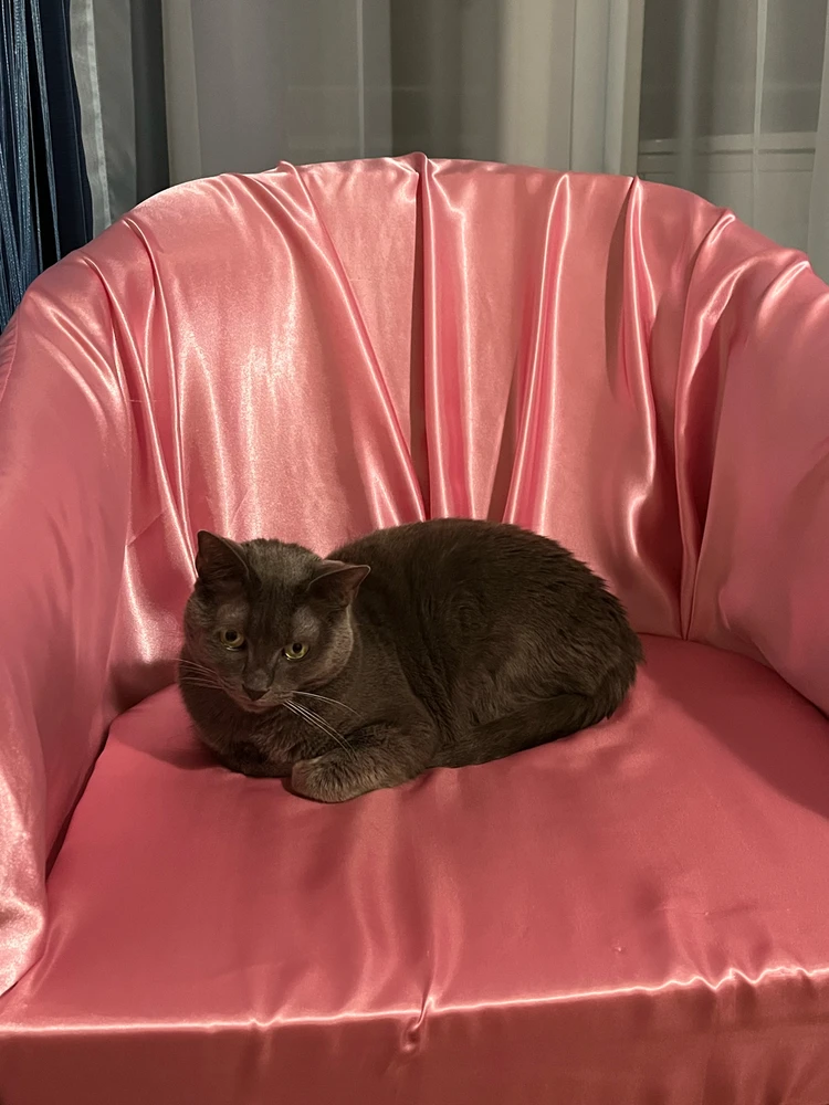 GIF uploaded by Mariana ☭