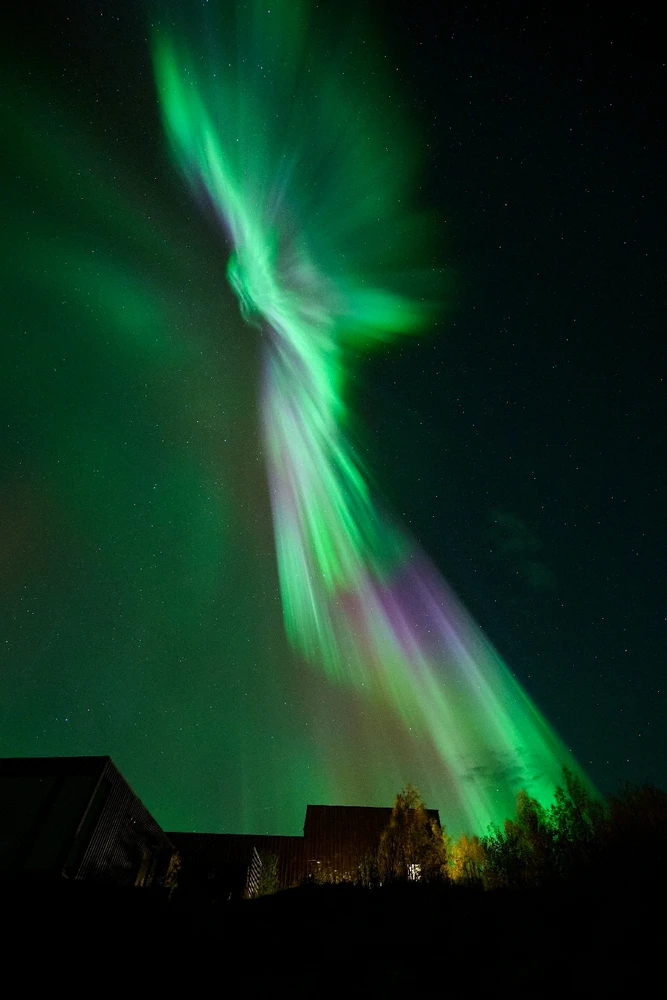 Image uploaded by Johannes