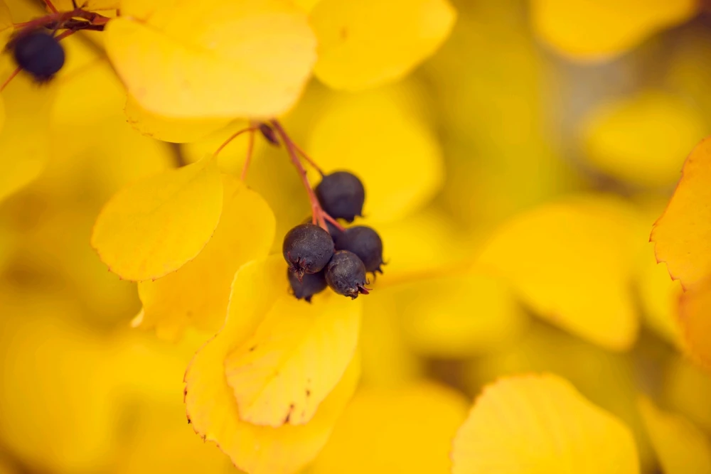 Image uploaded by Johannes