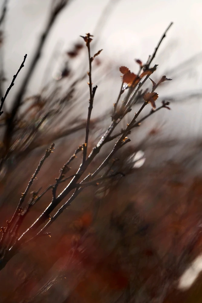 Image uploaded by Johannes