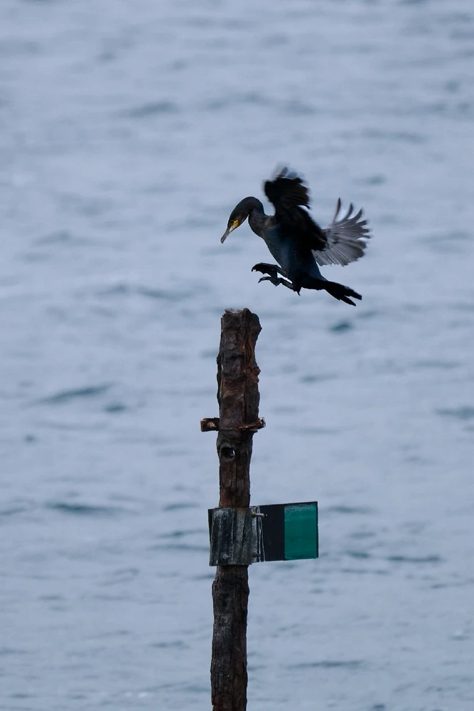 Image uploaded by Johannes