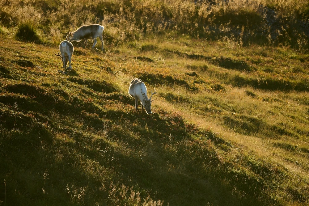 Image uploaded by Johannes