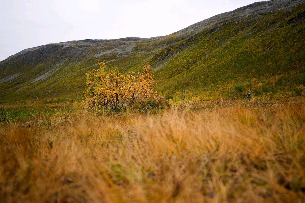 Image uploaded by Johannes