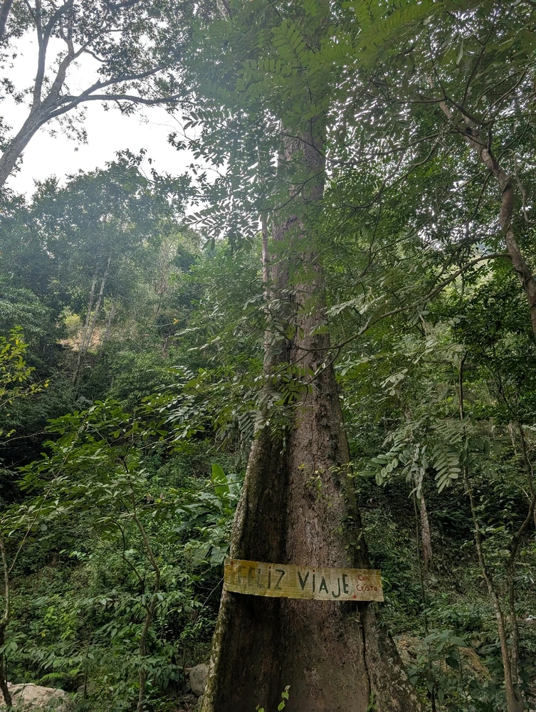 GIF uploaded by Jammal