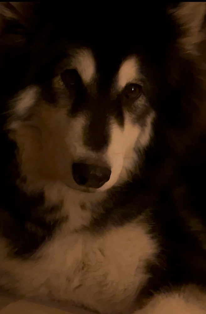 Image uploaded by Ruby