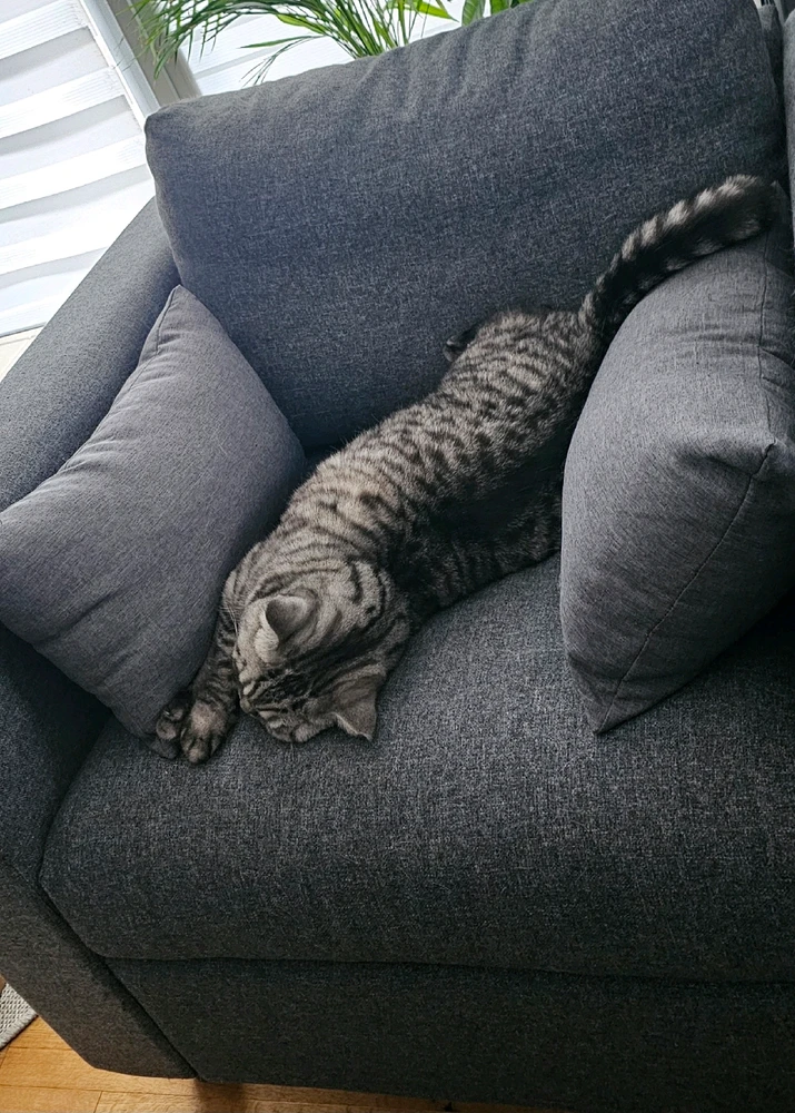 GIF hochgeladen von đđđ€đ€đđđ