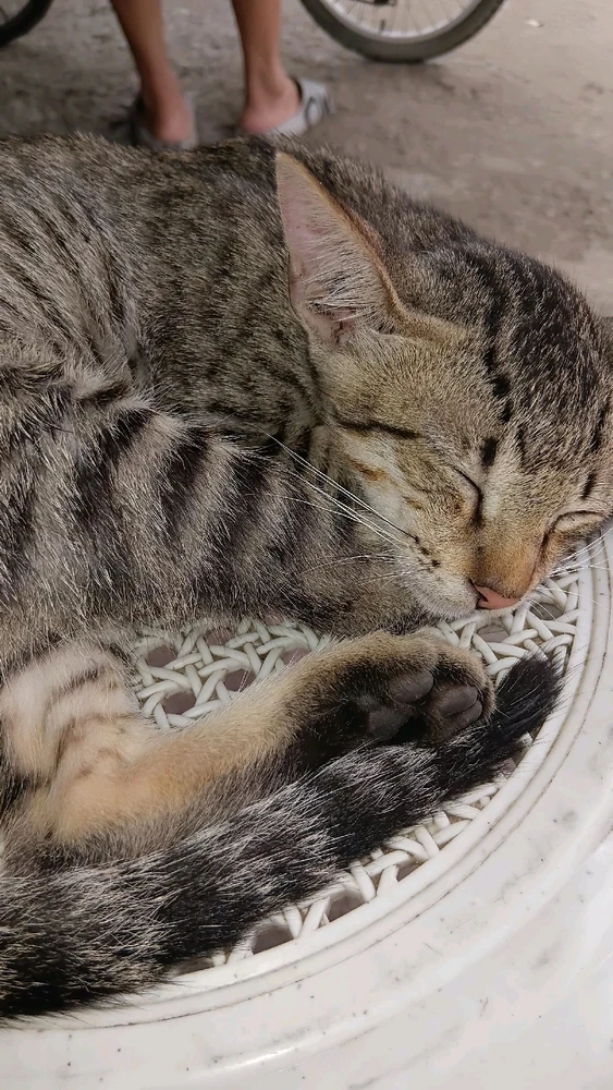 Image uploaded by Mj