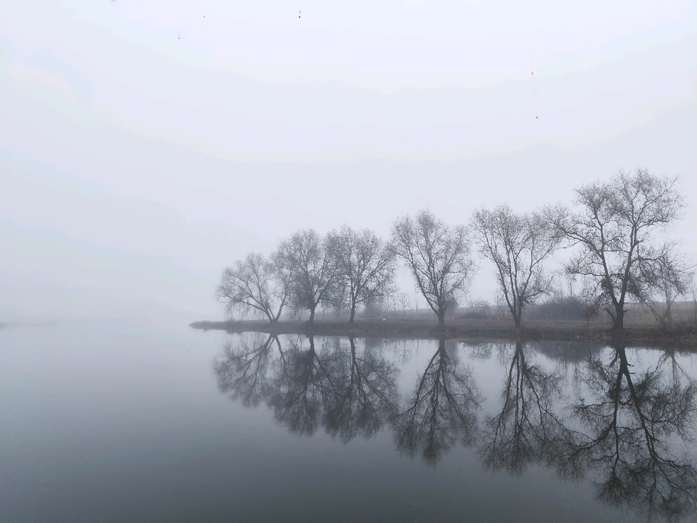 GIF uploaded by LowRez