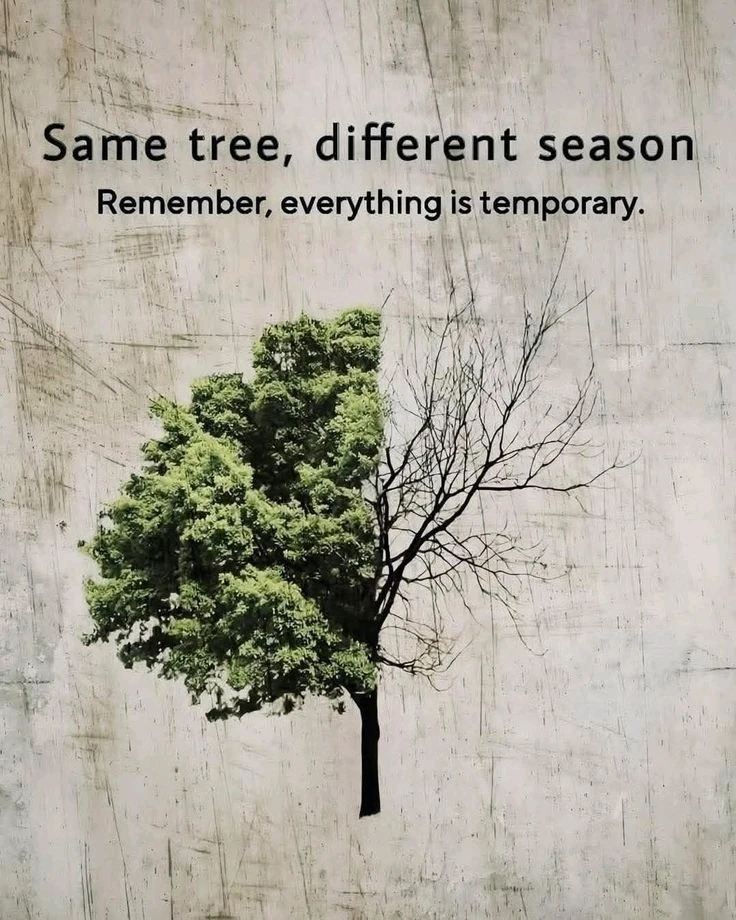 GIF uploaded by ORyZa