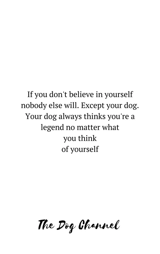 GIF uploaded by Allison