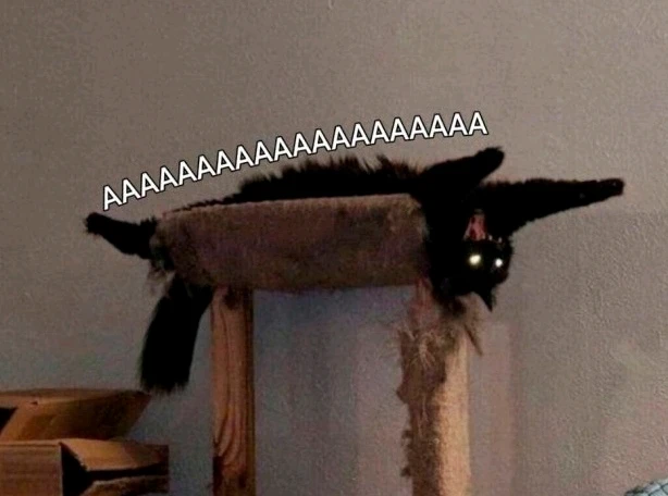 GIF uploaded by Elena