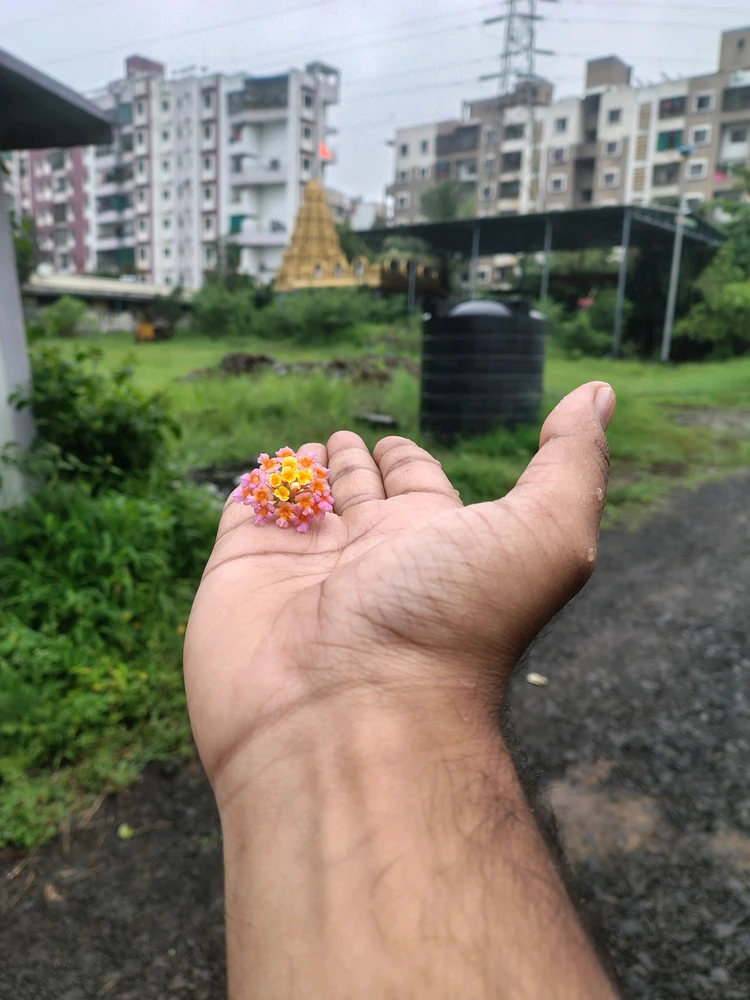 Amol ने अपलोड केलेला GIF