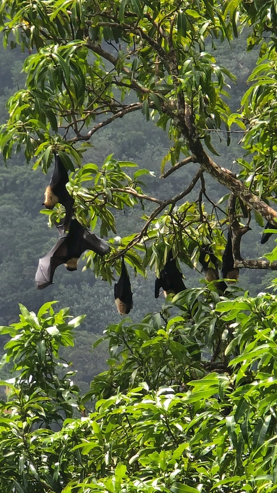 GIF uploaded by Julie