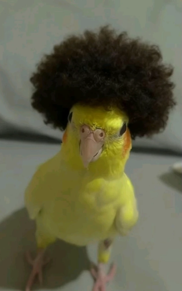 GIF caricata da Riccardo