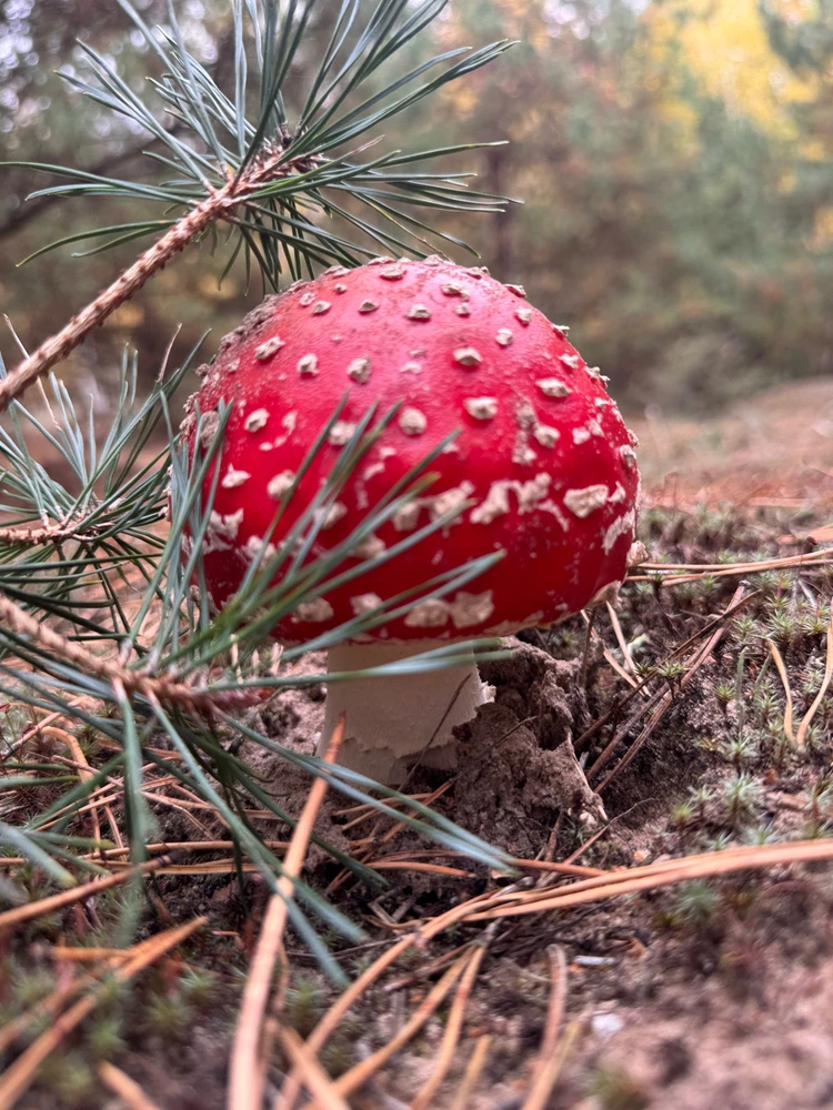 GIF uploaded by Tais