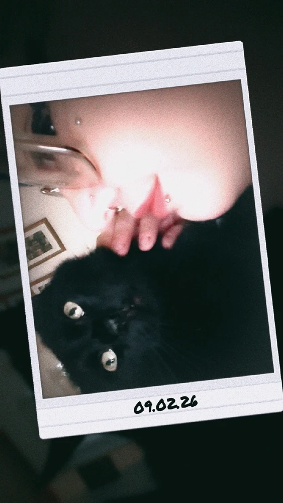 GIF hochgeladen von Carina