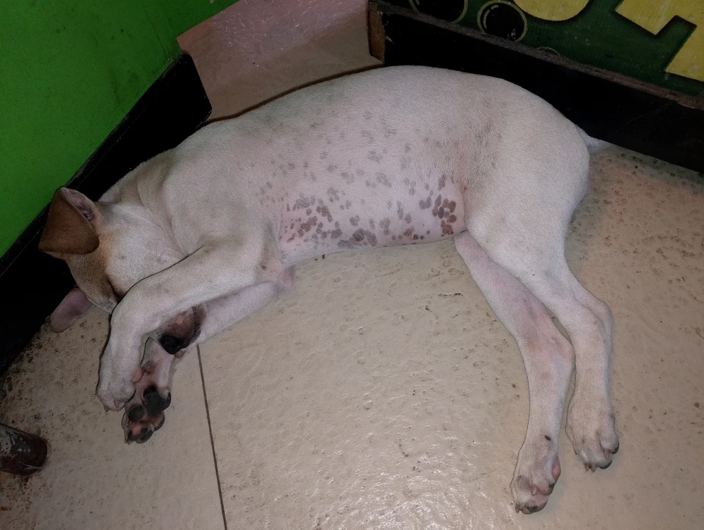 Image uploaded by Hanael