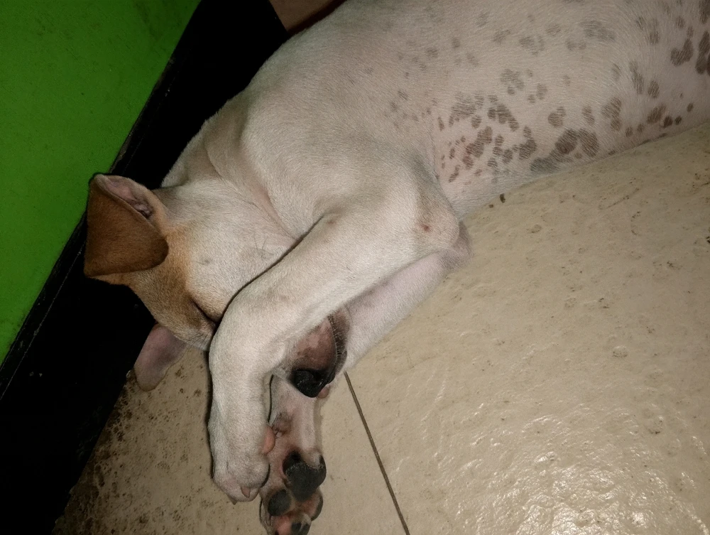 Image uploaded by Hanael