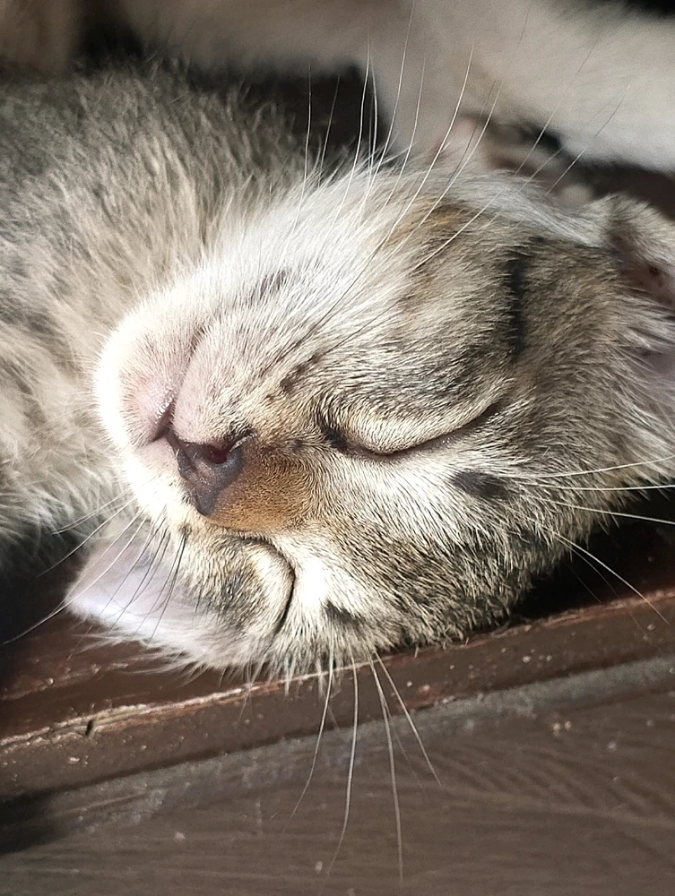 Image uploaded by Hanael