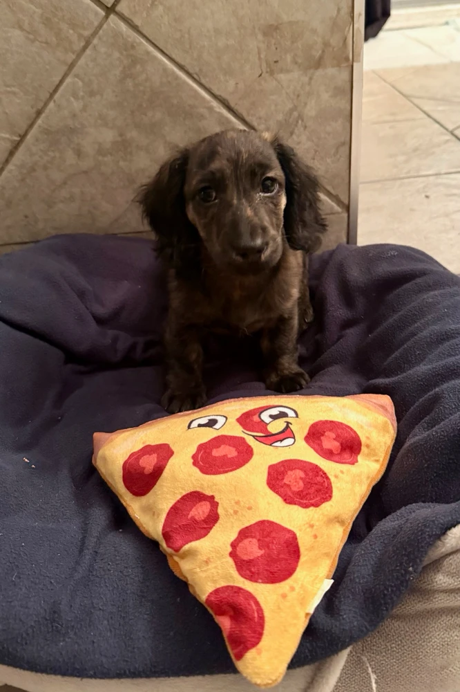 GIF uploaded by Antonio