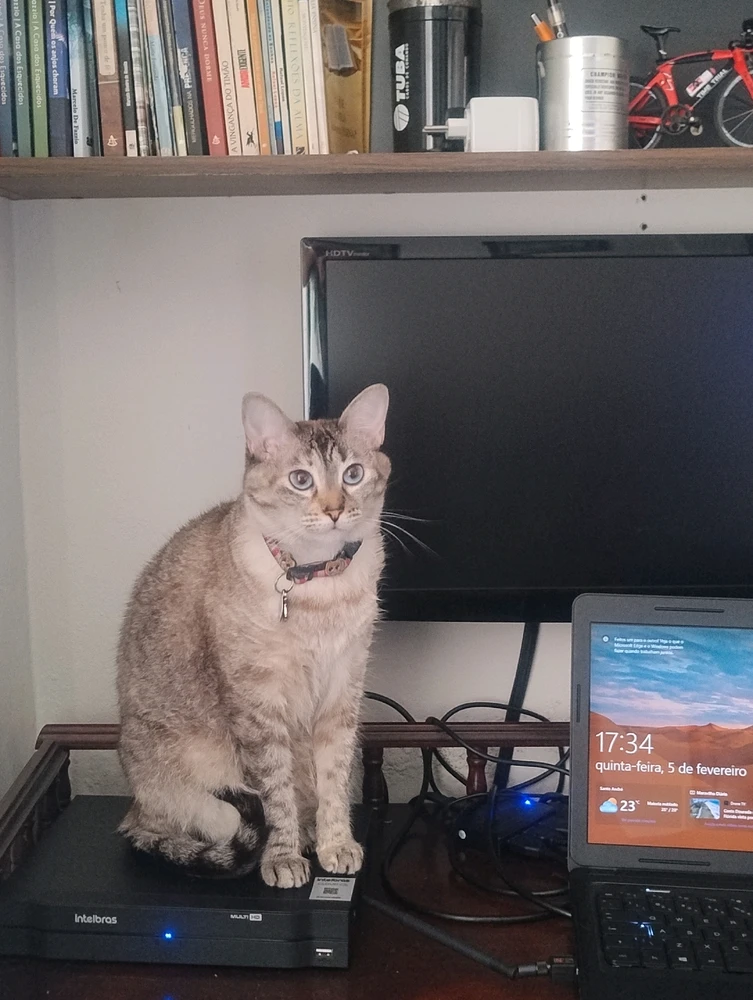 GIF enviado por Dan Sanches