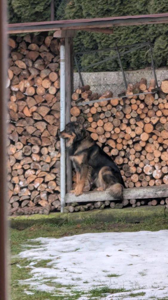 Obrázek nahrál Matěj