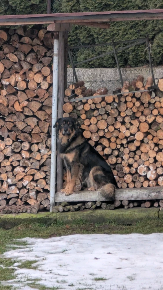 Obrázek nahrál Matěj