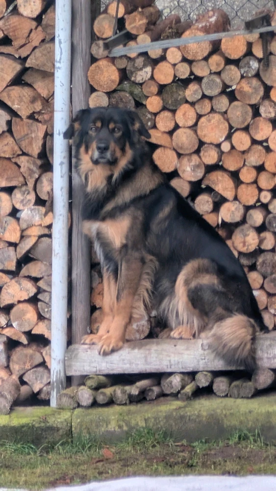 Obrázek nahrál Matěj