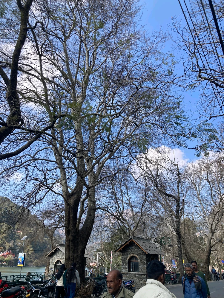 GIF uploaded by Adyant Deep