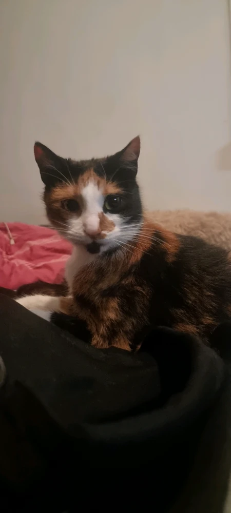 GIF uploaded by Dimitris