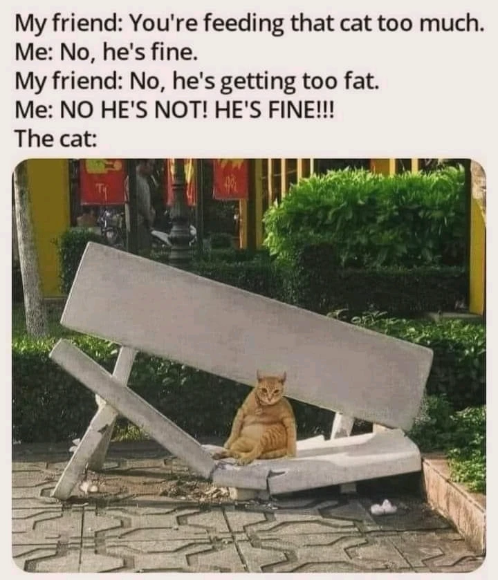 GIF uploaded by 𝕊𝕥𝕒𝕪𝕔𝕖