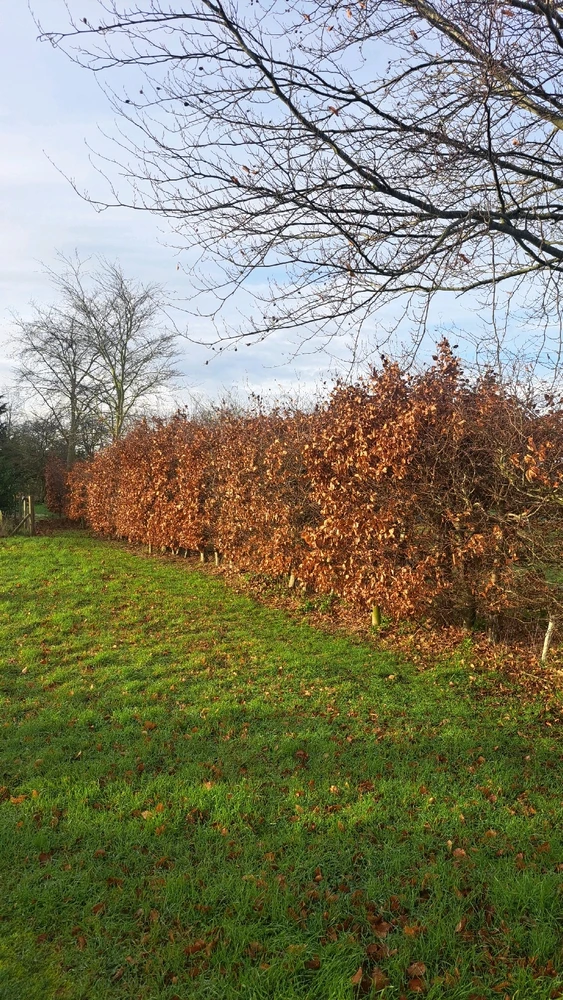 Image uploaded by JD