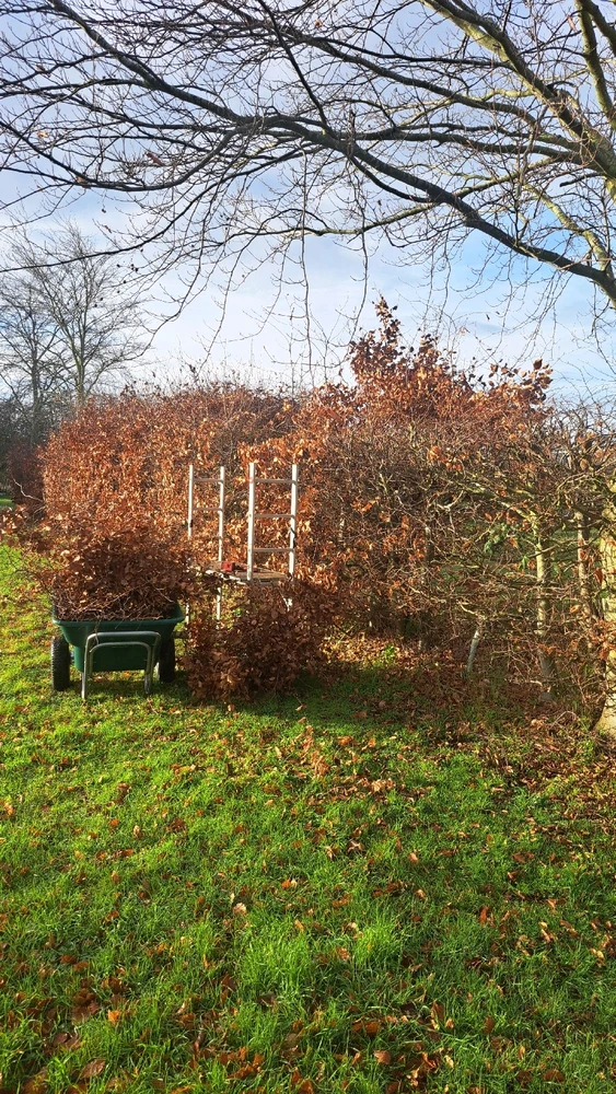 Image uploaded by JD