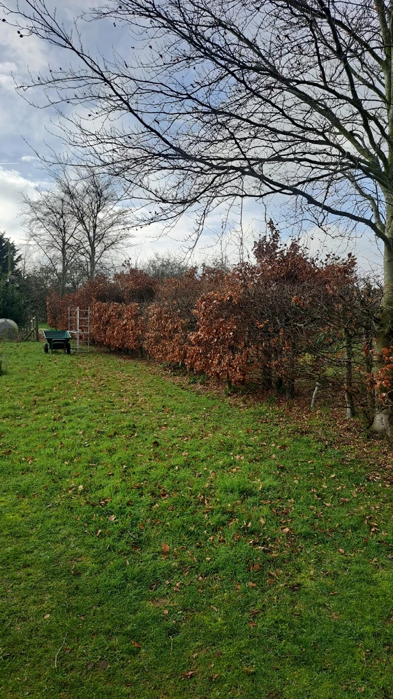 Image uploaded by JD