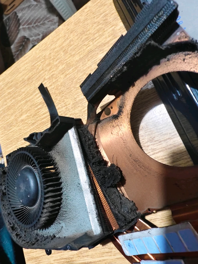 Image uploaded by MIKE.M