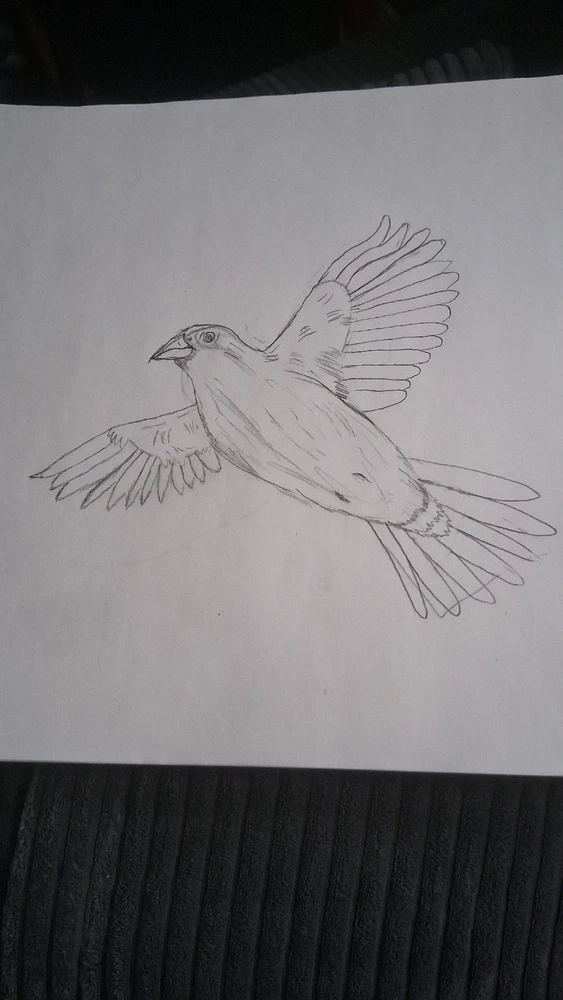 GIF uploaded by Link