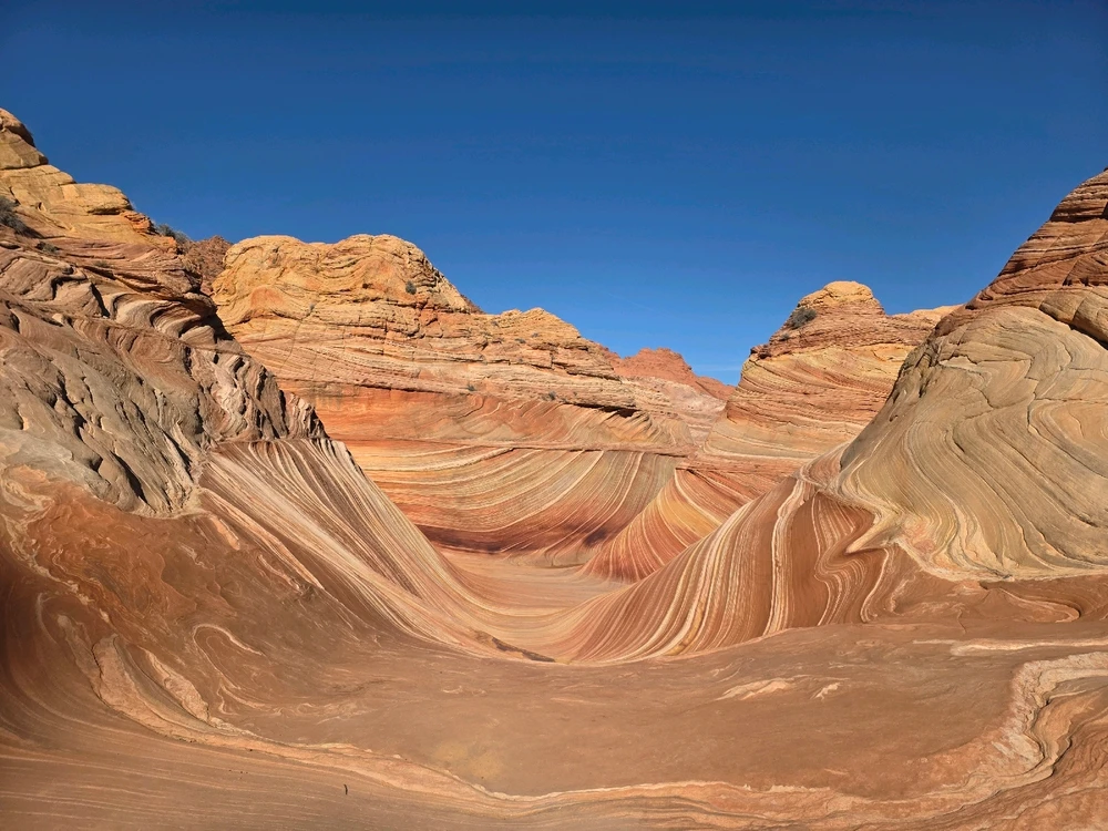 Image uploaded by Scott