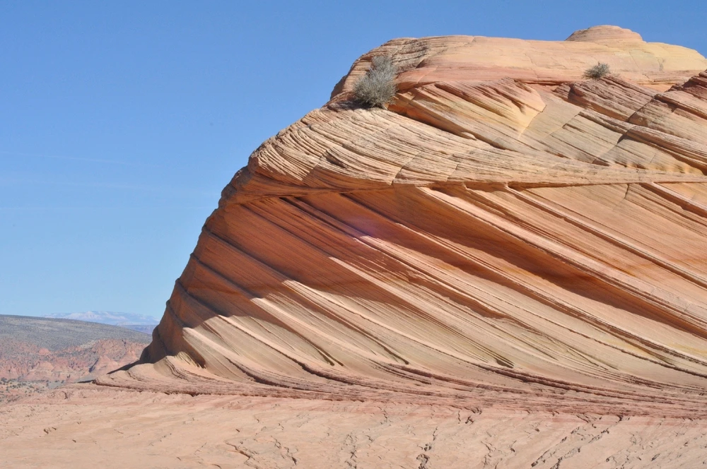 Image uploaded by Scott