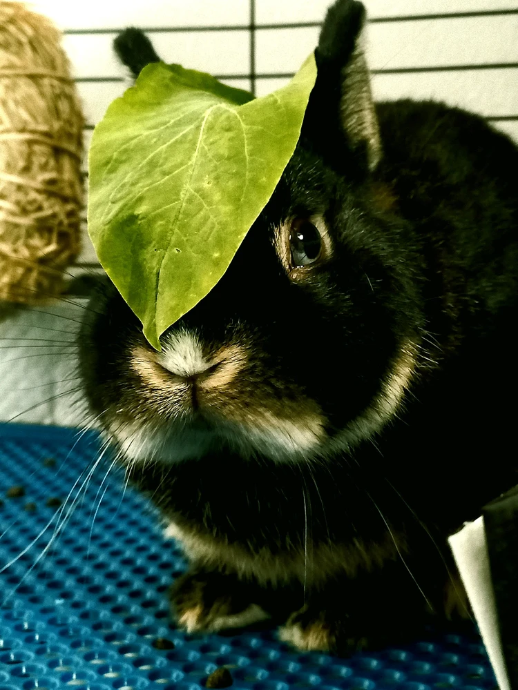 Imagem enviada por Duda