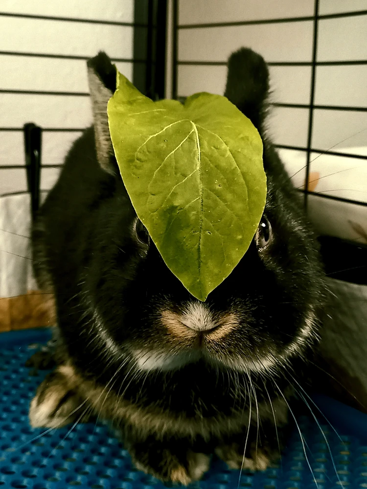 Imagem enviada por Duda