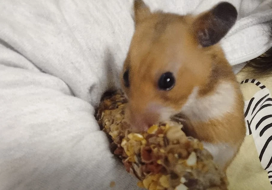 Image uploaded by Ursula