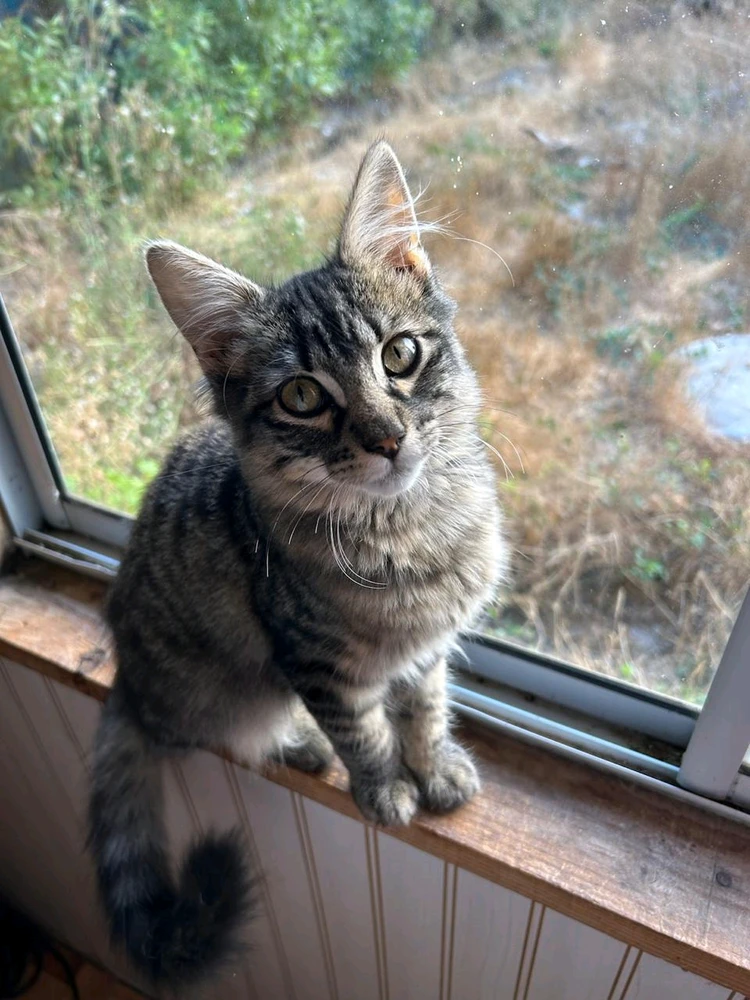 GIF subido por Jekxuxito