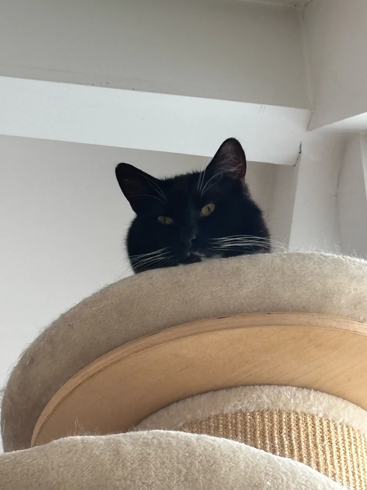 GIF uploaded by Alex