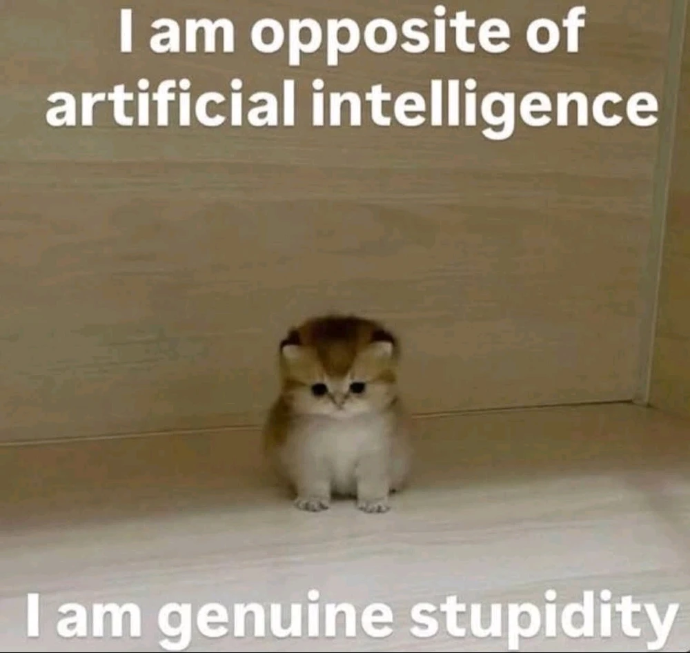 Image uploaded by Muhammad Talha