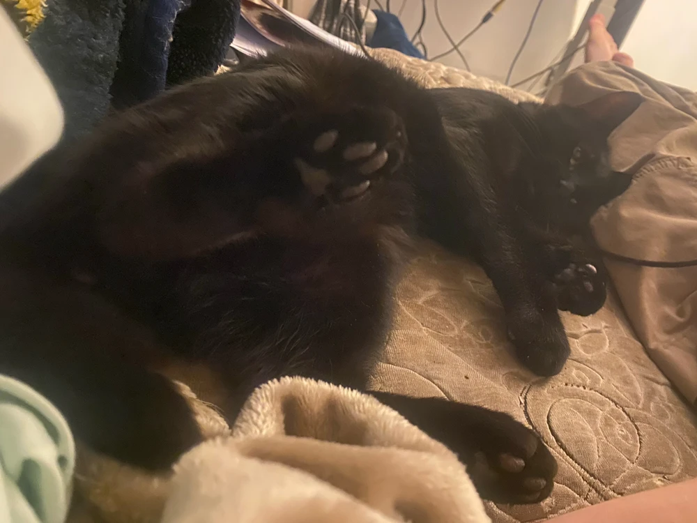 Image ajoutée par Charlyne