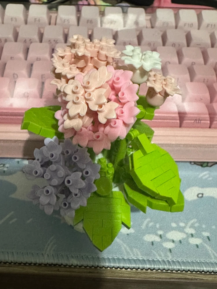 Image uploaded by Kath