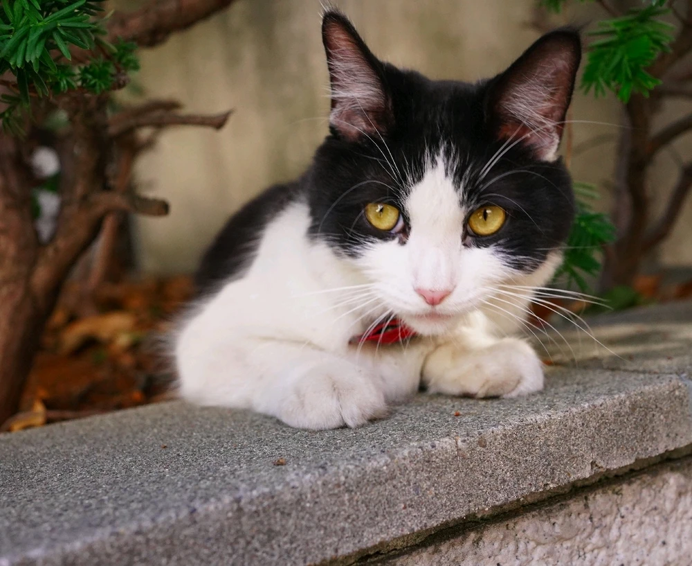 Image uploaded by Jakub