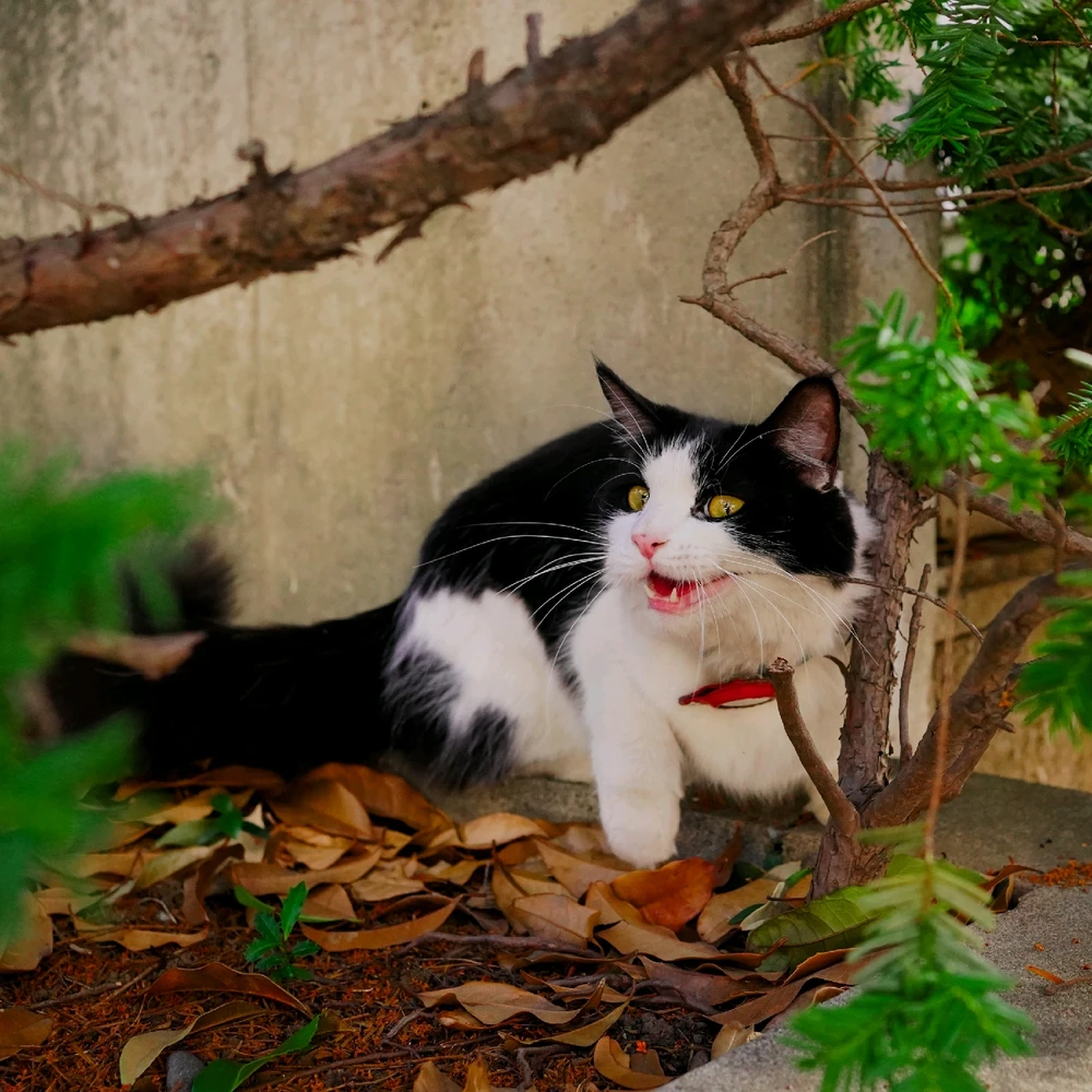 Image uploaded by Jakub