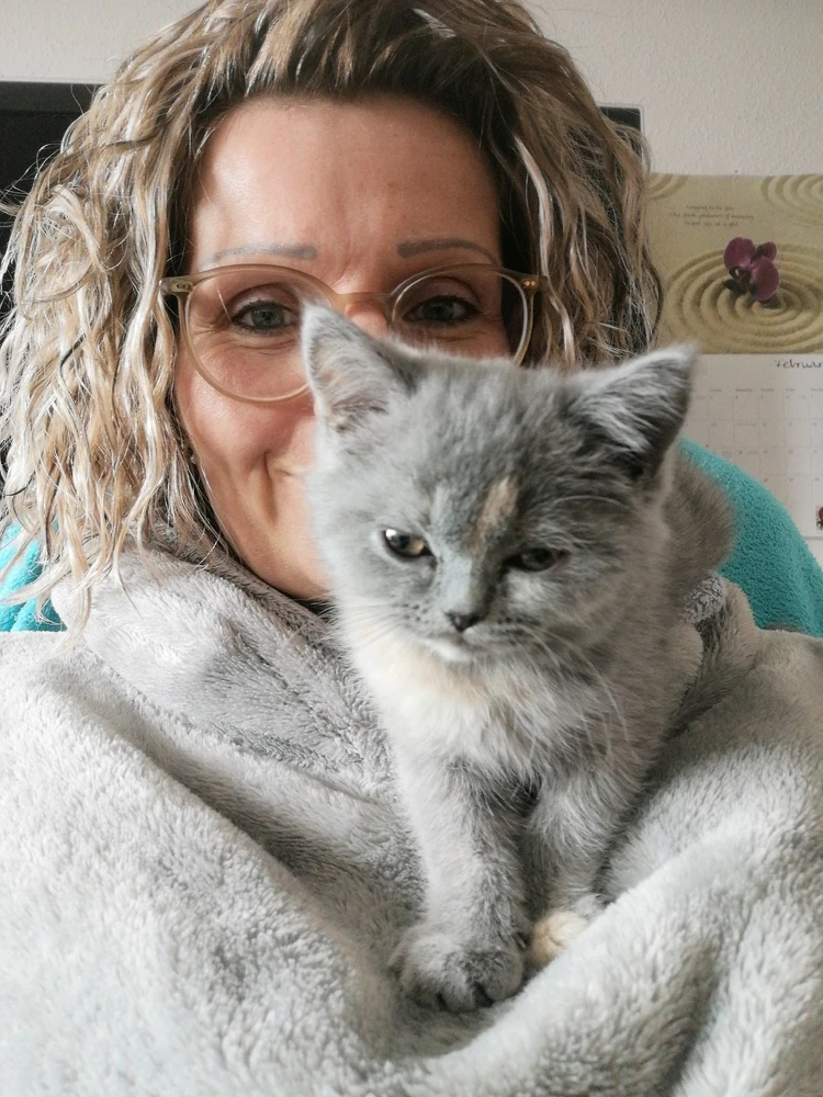 GIF hochgeladen von Kirsten